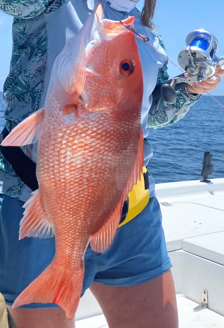 CCANational-Snapper-101921-Image