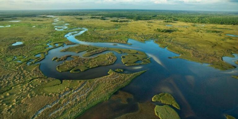 Everglades-National-Park-Aerial-View