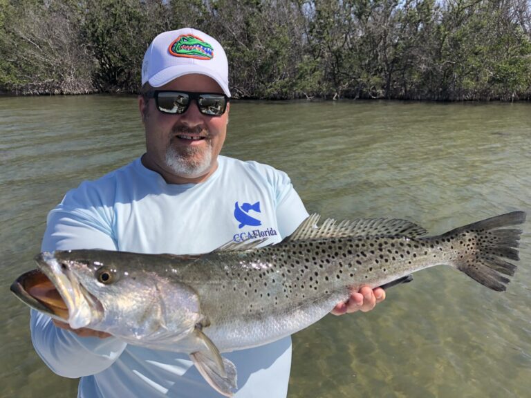 KK-trout-2
