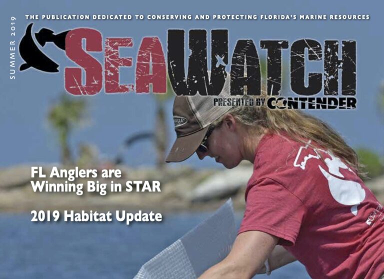 Sea-Watch-Summer-2019-copy