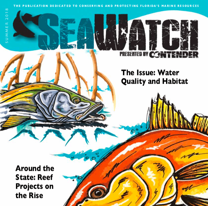 Sea-Watch-summer-2018