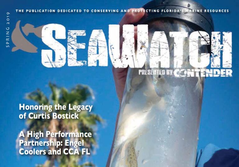 Seawatch_spring2019