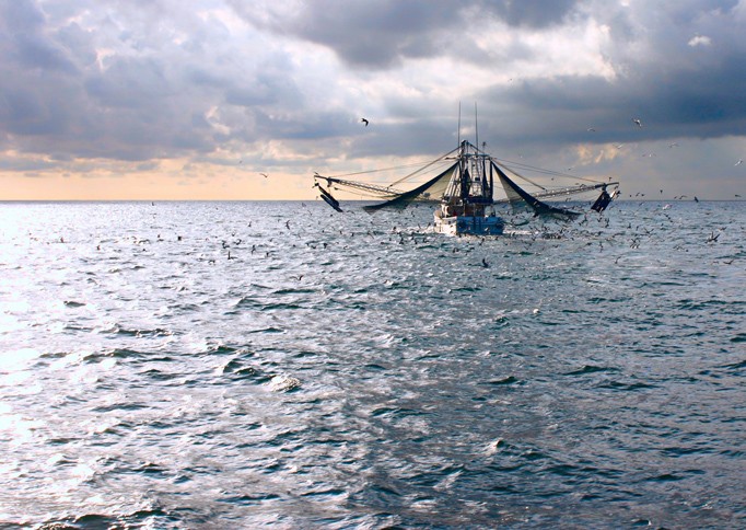 Sunrise Shrimp Boat