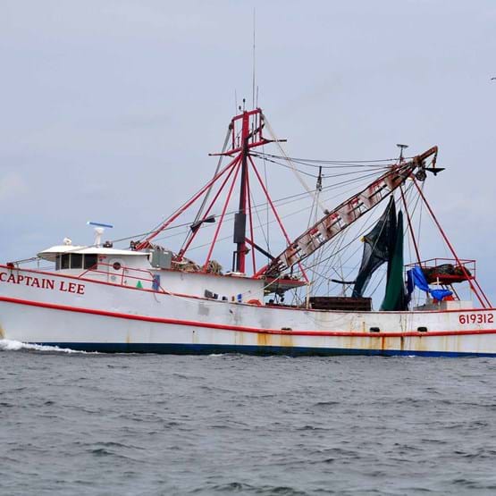 red-snapper-boat-counts