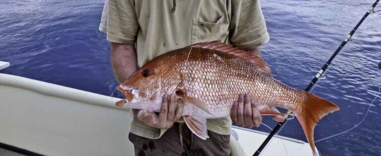 red-snapper-caught-on-boat-1