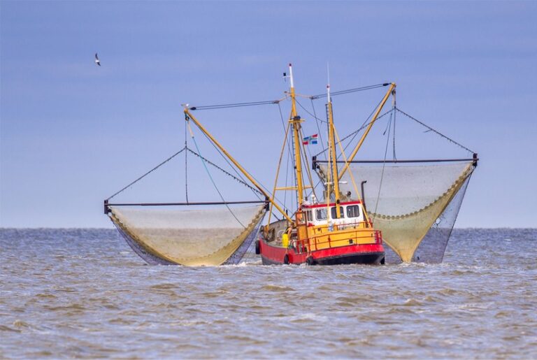shrimp_trawl