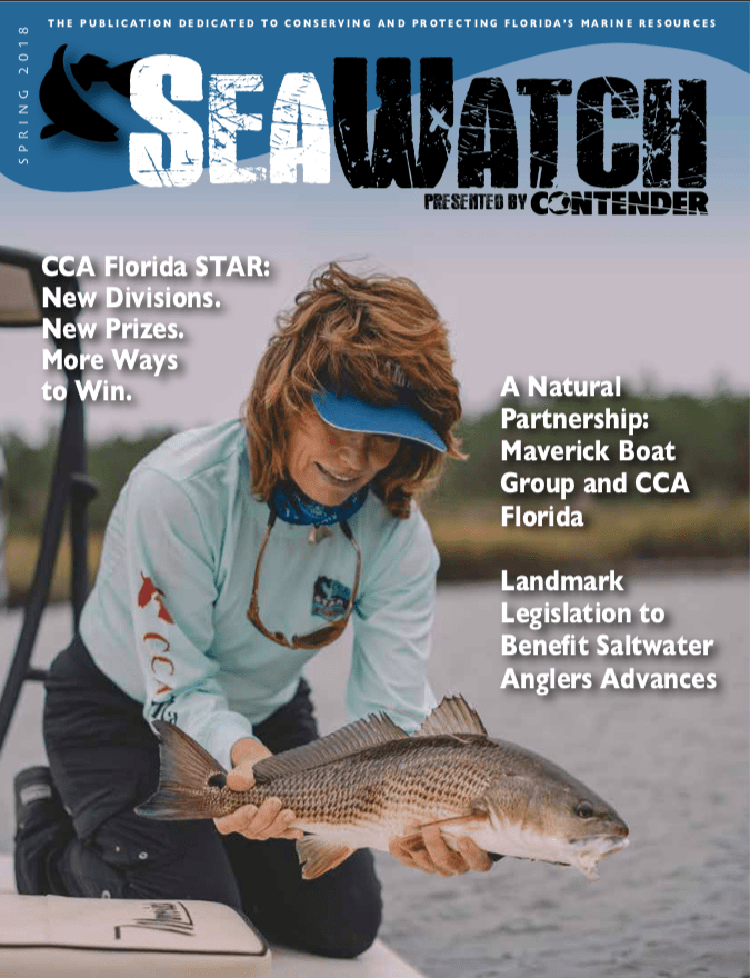 spring-sea-watch-2018
