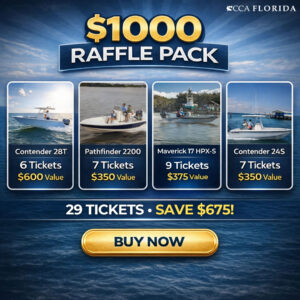 The $1000 Package