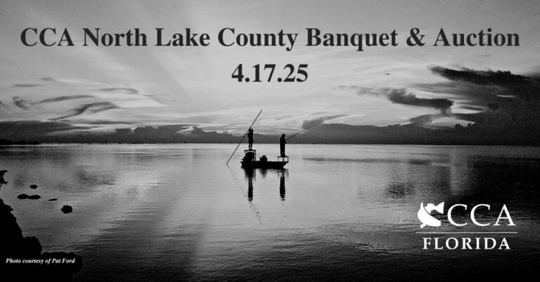 1735659781394-2025_NORTH_LAKE_WEB_FLYER-768x402