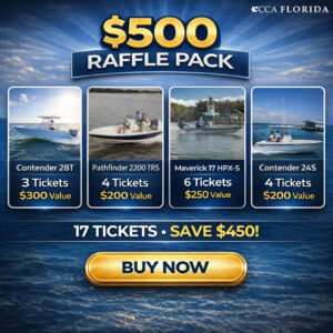The $500 Package