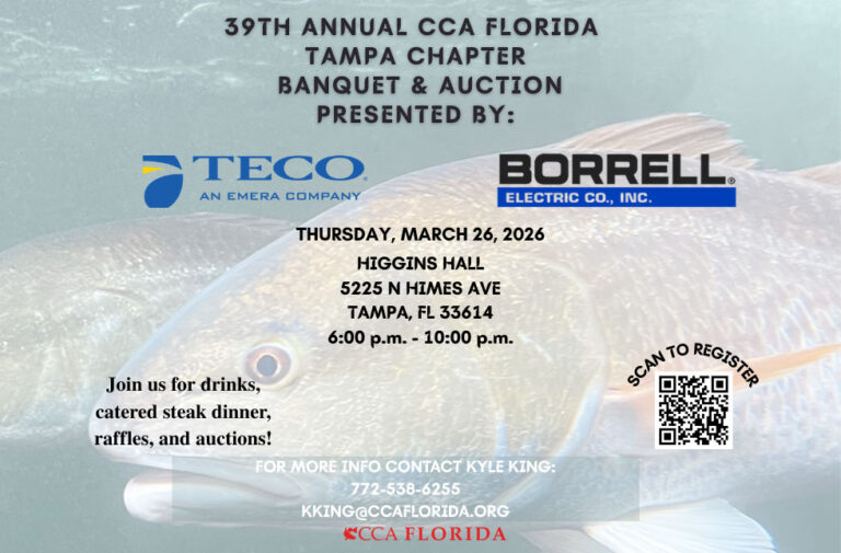 2026-Tampa-Flyer-980-x-644-px-768x505