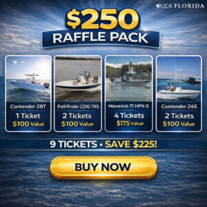 The $250 Package