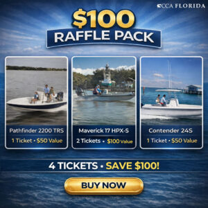 The $100 Package