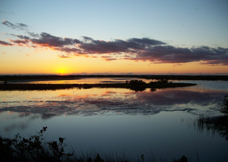 merritt-island-178339_1920