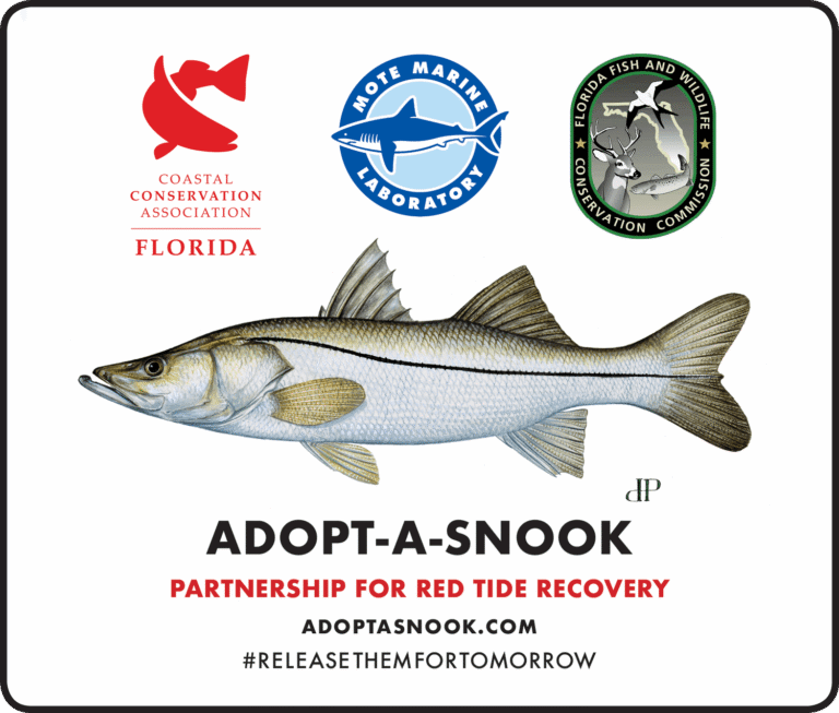 AdoptASnookInitative_Graphic_highres_v4