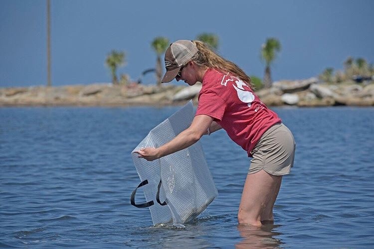 amanda-redfish-release